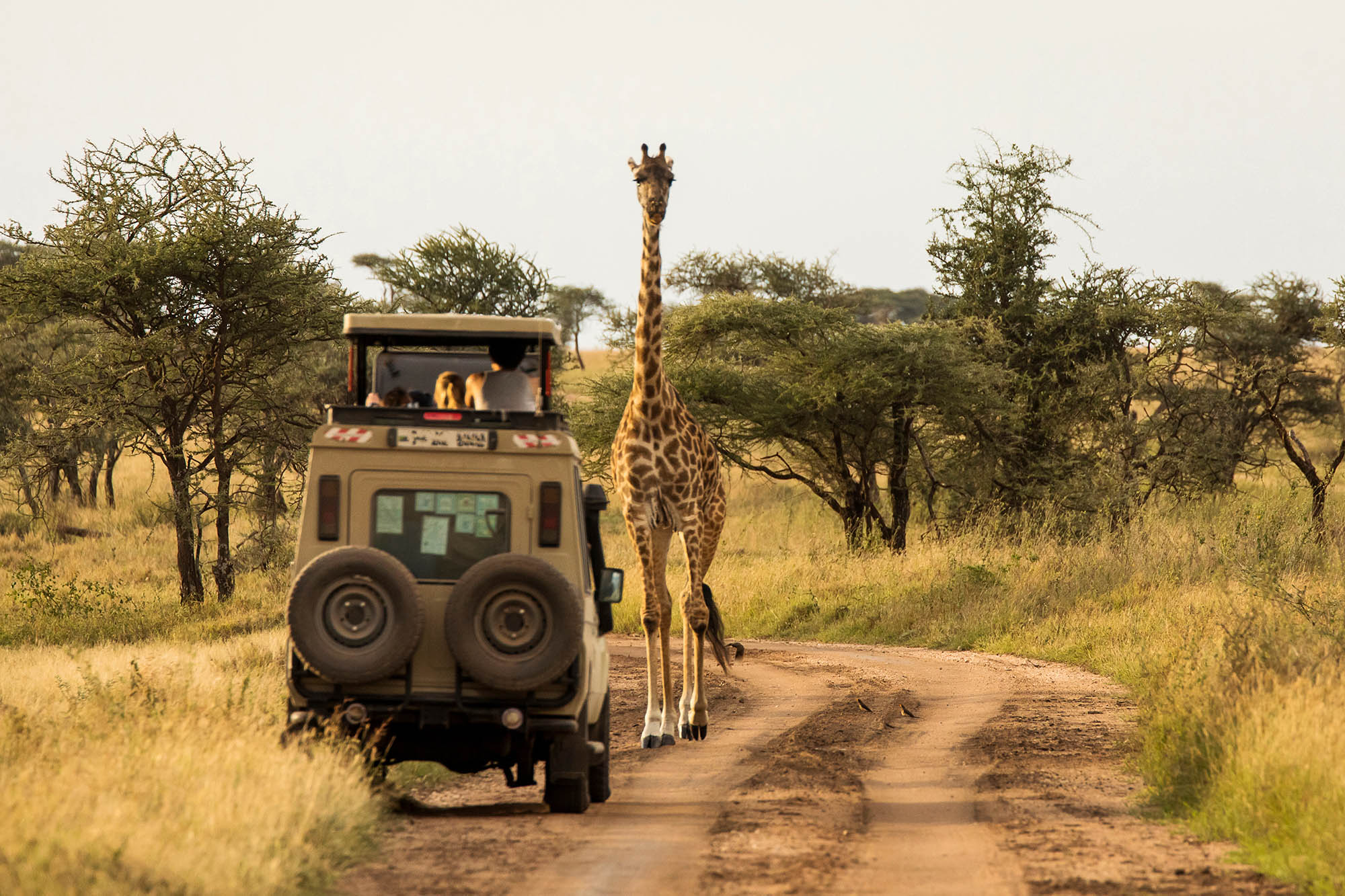 Unique curated travel experience